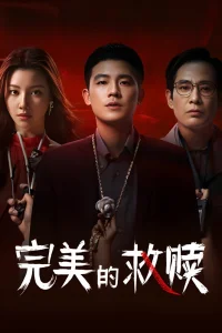 Идеальный подозреваемый (2025)