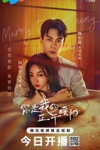 Выйти замуж за врага моего врага (2025)