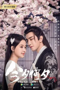 Какая сегодня ночь! (2020)